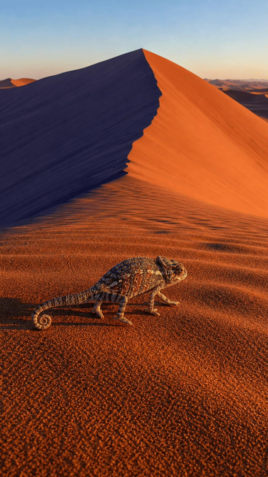 Dune Shadows, Namib Desert