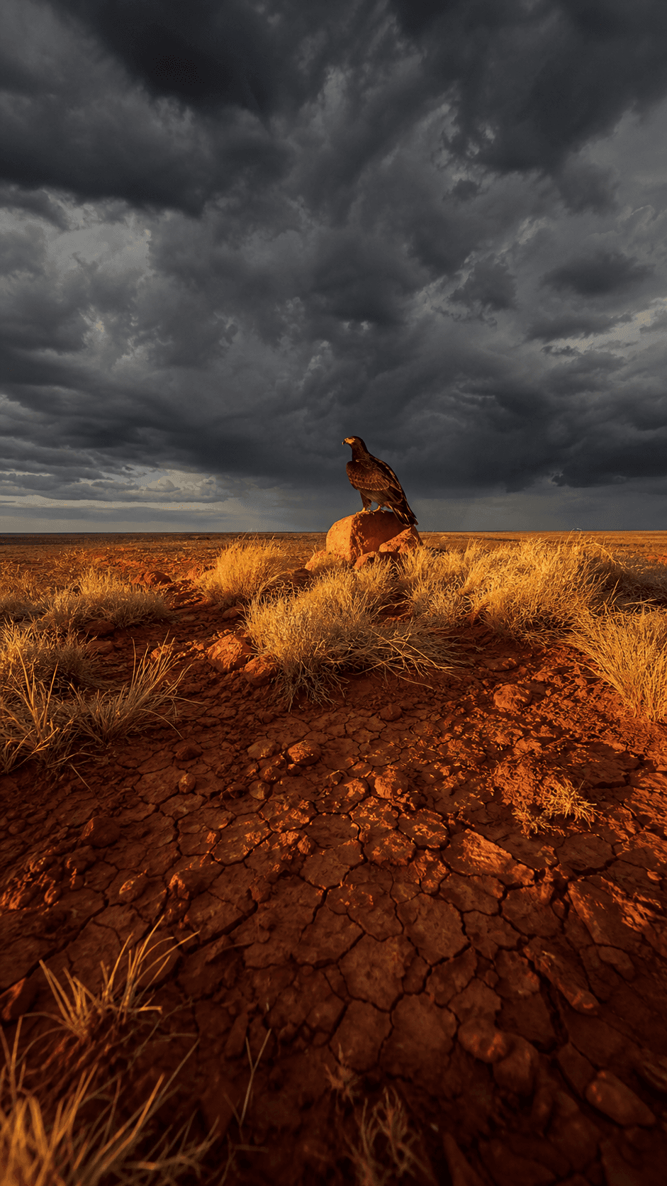 Storm Front, Australian Outback
