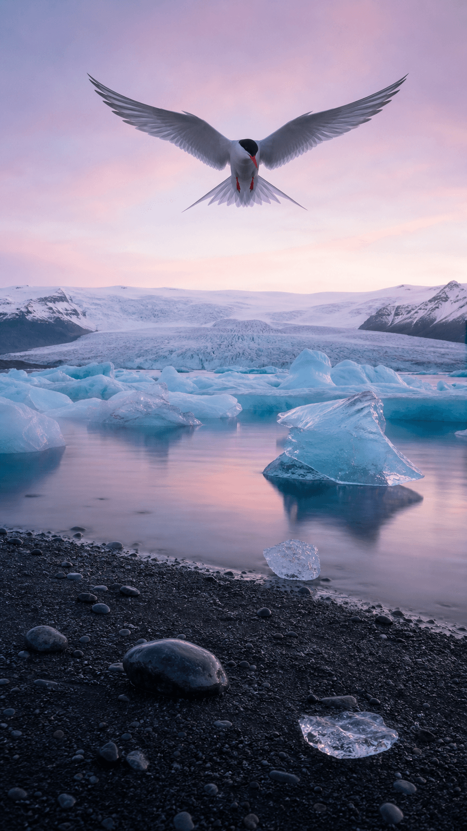 Ice Lagoon at Dawn, Iceland